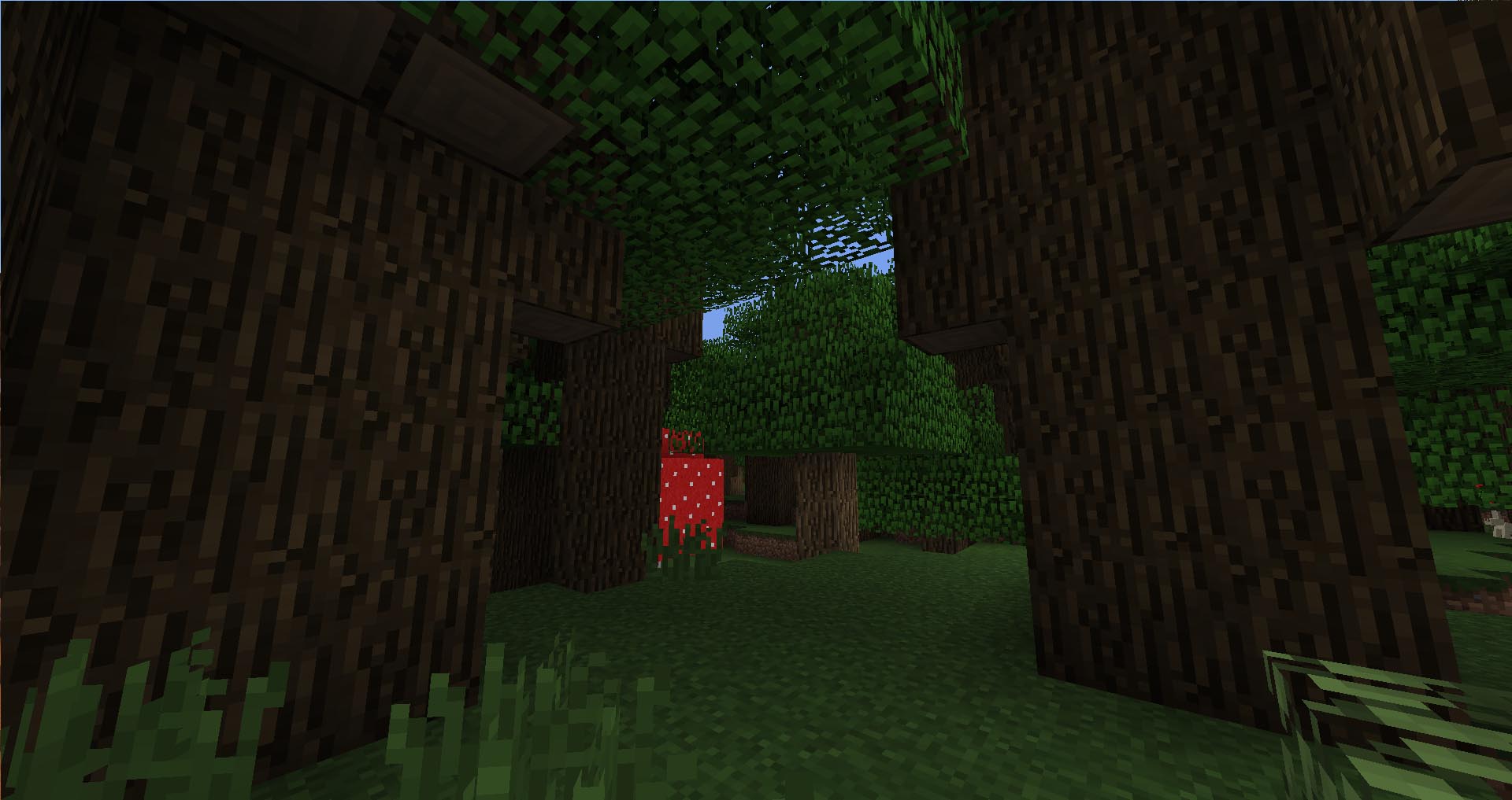 1.7.2 Roofed Forest
